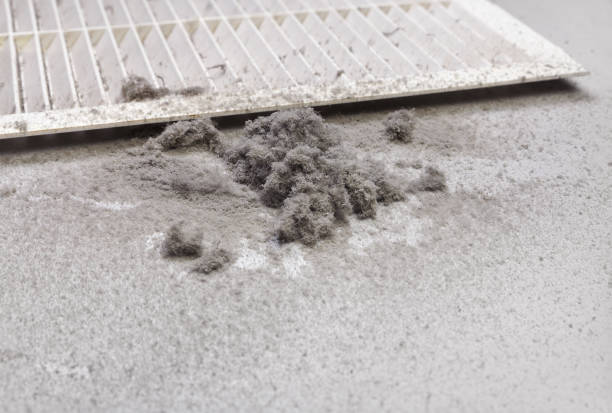 Best Commercial HVAC Duct Cleaning  in Charlotte, MI