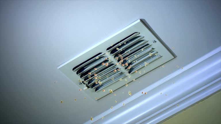 Best Affordable Duct Cleaning Services  in Charlotte, MI