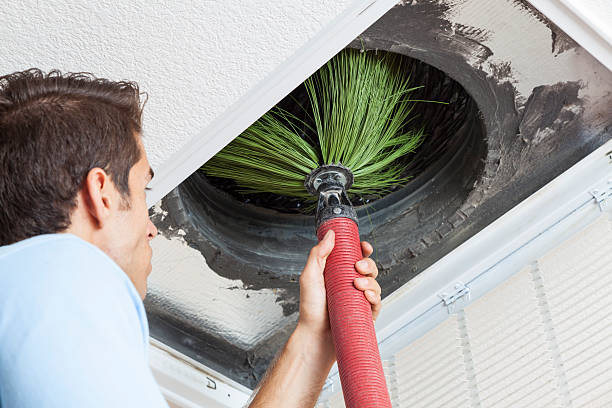Best Emergency Air Duct Cleaning  in Charlotte, MI