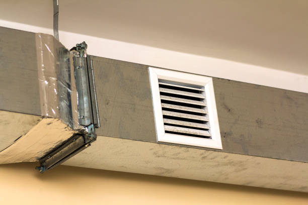 Best Affordable Duct Cleaning Services  in Charlotte, MI